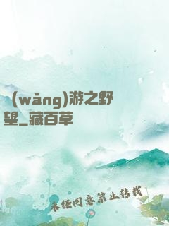 網(wǎng)游之野望