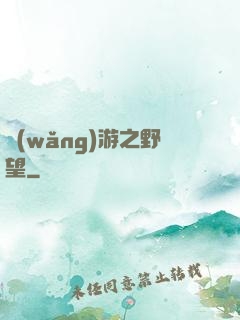網(wǎng)游之野望