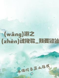 網(wǎng)游之鎮(zhèn)魂挽歌