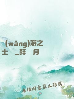 網(wǎng)游之騎士無雙