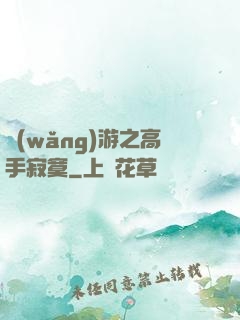 網(wǎng)游之高手寂寞