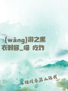 網(wǎng)游之黑衣刺客