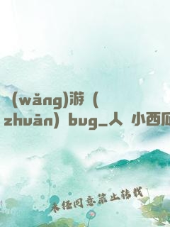 網(wǎng)游專(zhuān)屬bug
