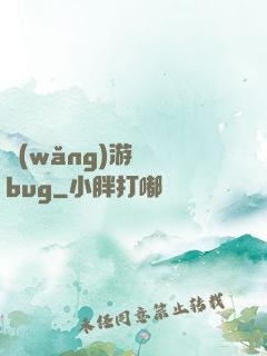 網(wǎng)游專屬bug