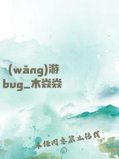 網(wǎng)游專屬bug