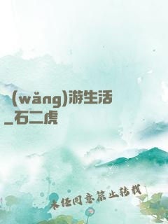 網(wǎng)游生活