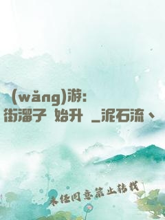網(wǎng)游：從街溜子開始升級