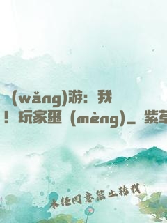 網(wǎng)游：我！玩家噩夢(mèng)