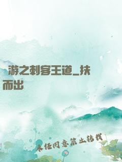 網游之刺客王道