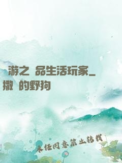 網游之極品生活玩家
