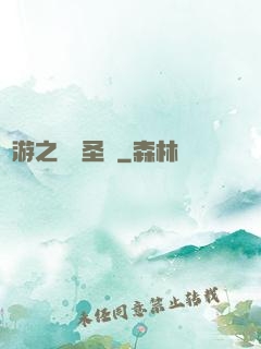 網游之無敵圣騎