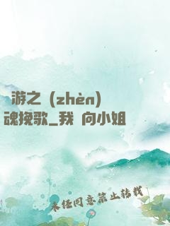網游之鎮(zhèn)魂挽歌