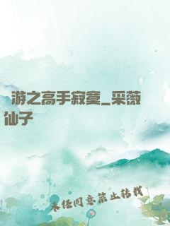網游之高手寂寞