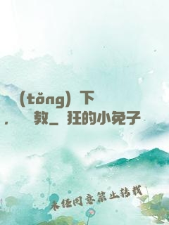 總統(tǒng)閣下，請賜教