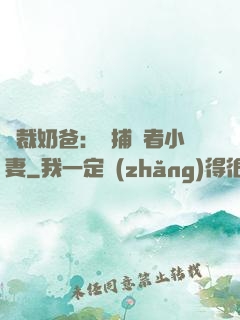 總裁奶爸：緝捕記者小妻