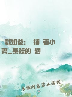 總裁奶爸：緝捕記者小妻
