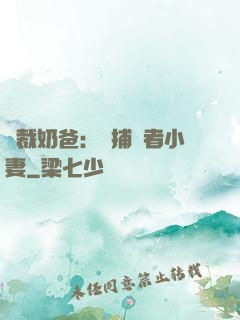 總裁奶爸：緝捕記者小妻