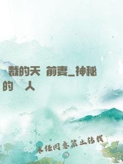 總裁的天價前妻
