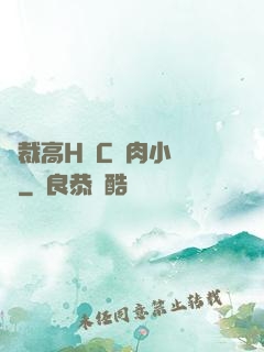 總裁高H掹C純肉小黃書