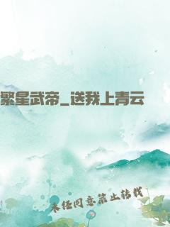 繁星武帝