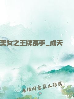 美女之王牌高手