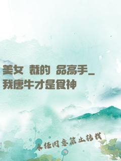 美女總裁的極品高手