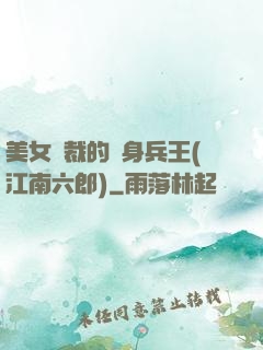 美女總裁的貼身兵王(江南六郎)
