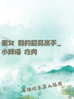 美女總裁的超品高手