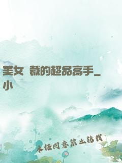 美女總裁的超品高手
