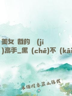 美女總裁的頂級(jí)高手