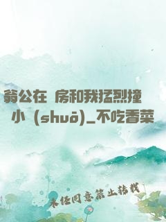 翁公在廚房和我猛烈撞擊小說(shuō)