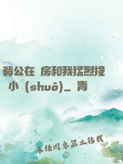 翁公在廚房和我猛烈撞擊小說(shuō)