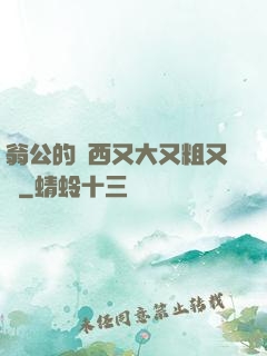 翁公的東西又大又粗又長