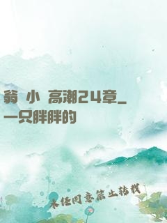 翁與小瑩高潮24章