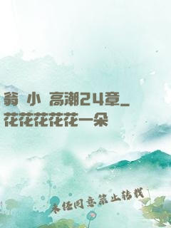 翁與小瑩高潮24章