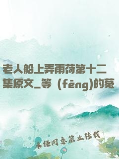 老人船上弄雨荷第十二集原文