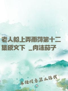 老人船上弄雨荷第十二集原文下載