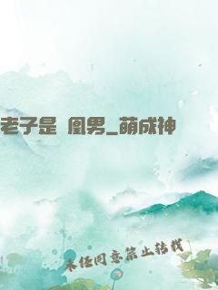 老子是鳳凰男
