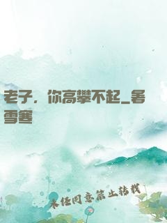 老子，你高攀不起