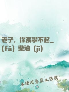 老子，你高攀不起