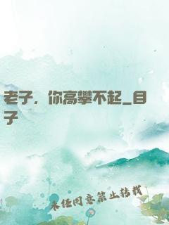老子，你高攀不起