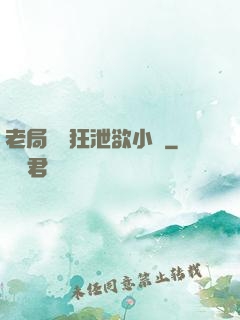 老局長瘋狂泄欲小說