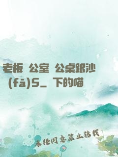 老板辦公室辦公桌跟沙發(fā)5