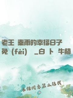 老王與秦雨的幸福日子免費(fèi)閱讀