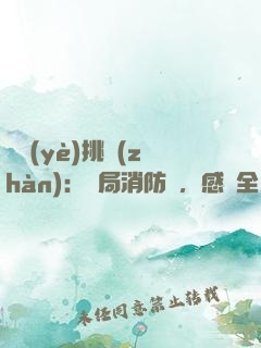 職業(yè)挑戰(zhàn)：開局消防員，感動全網(wǎng)