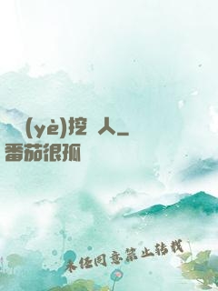 職業(yè)挖寶人