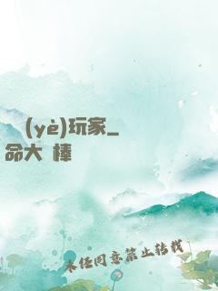 職業(yè)玩家