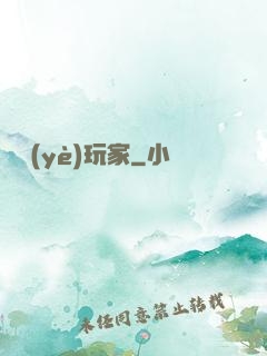 職業(yè)玩家