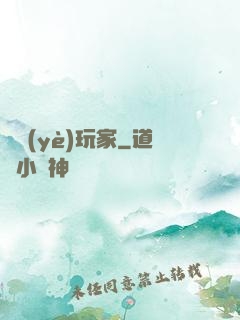 職業(yè)玩家