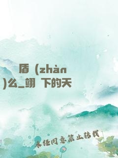 聽說過盾戰(zhàn)么